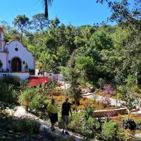 Holiday & Seasonal Tours