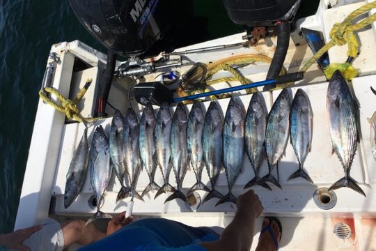 sport fishing