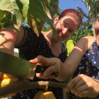 Cooking Classes