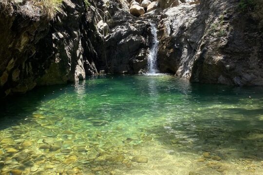 Palo María Waterfalls Hike Half-Day Tour