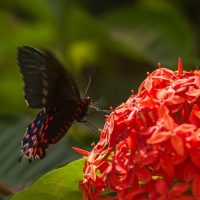 Walking & Biking Tours