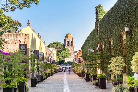 Full-Day Tequila, Jalisco from Puerto Vallarta with Tequila Experience