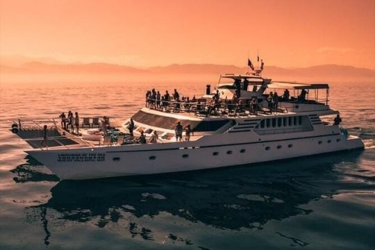 Mega Yacht Whale Watching Sunset Tour [All-Inclusive]