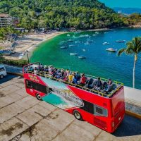 Bus & Minivan Tours