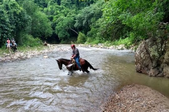 Experience Horse Riding, ATV & Zipline from Puerto Vallarta