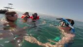 Wonderful private snorkeling and boat tour of Bay of Banderas