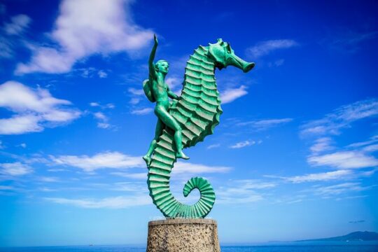 Signature City Tour Private Experience in Puerto Vallarta