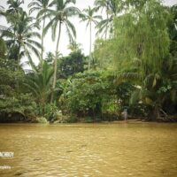 Holiday & Seasonal Tours