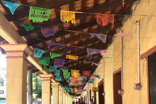 Historic & Authentic Mexican Village Tour: El Tuito, Jalisco