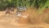 Fun, friendly, and a little dusty!