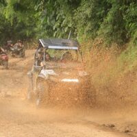 Private & Custom Tours