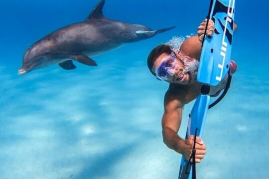 Small Group Wild Dolphin Tour: Swim, Paddle Board and Subwing