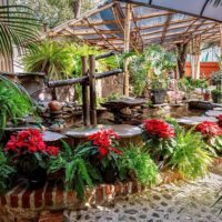 Wine Tasting & Winery Tours