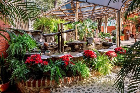 Fun Mexican Wine Tasting in Beautiful Garden of Puerto Vallarta