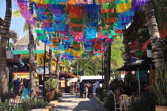 Sayulita Surfer Beach Town and Zarandeado with Seafood Grill