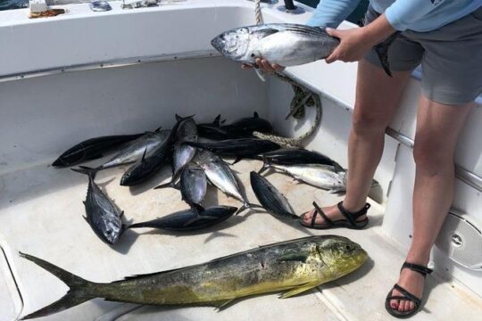 Fishing in luxury boat 6hrs