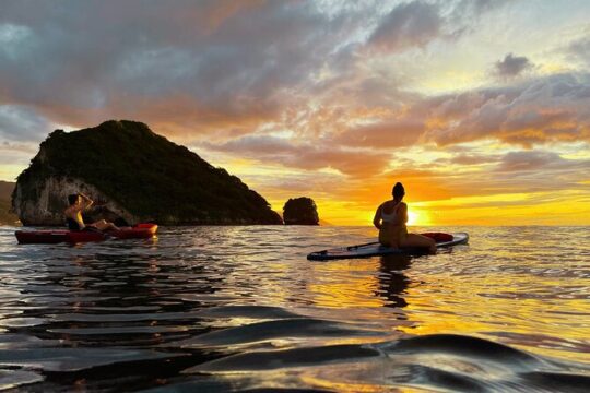 Kayaking Bioluminescence Experience