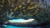 My favorite snorkeling in Puerto Vallarta