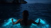Bioluminescence tour 10/10