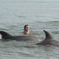 Swim with Dolphins
