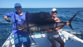 PV fishing