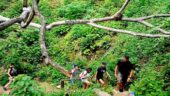 Your Must do this Hiking Excursion!