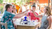 Learn about agave spirits.