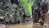 Great half day Macaws and waterfall