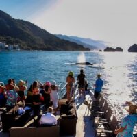 Shore Excursions