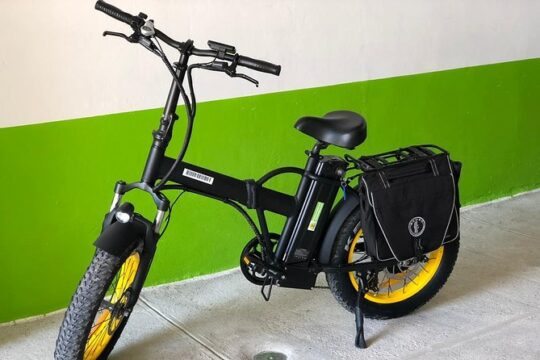 Electric Bikes Per Hour