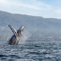Photography Tours
