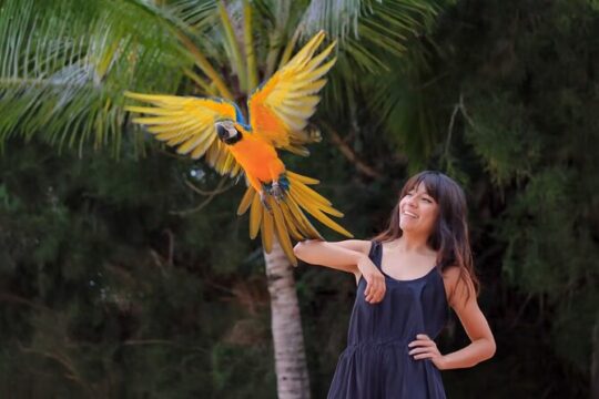 Las Caletas The Best Kept Secret of Puerto Vallarta