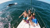Family Whale Watching 