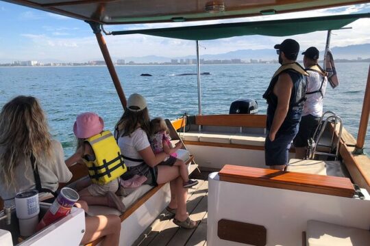 4 Hour Whale Watching Tour in Puerto Vallarta
