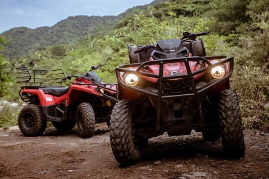 Jungle ATV Adventure (Single)