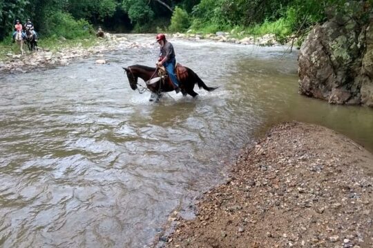 Ziplines and Horse Back Riding in Vallarta