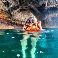 Bus & Minivan Tours