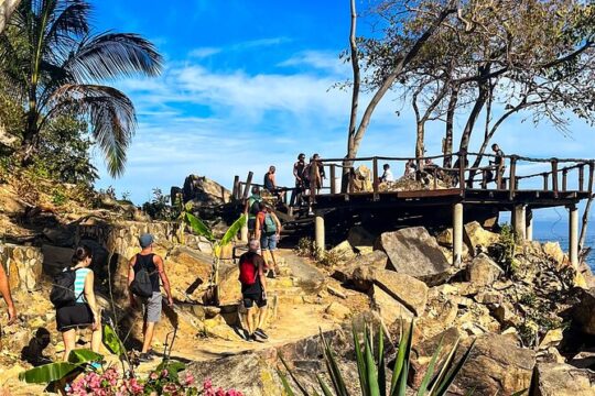 Jungle Hike and Hidden Beaches in Puerto Vallarta