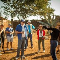 Multi-day & Extended Tours