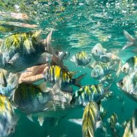 Snorkeling