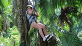 ATV tour