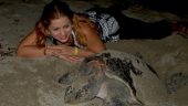 Magical Turtle Release