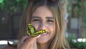 #Butterflygang